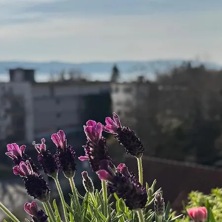 Penthouse Mit Seeblick & Balkon, Zentral, Tg * Uberlingen